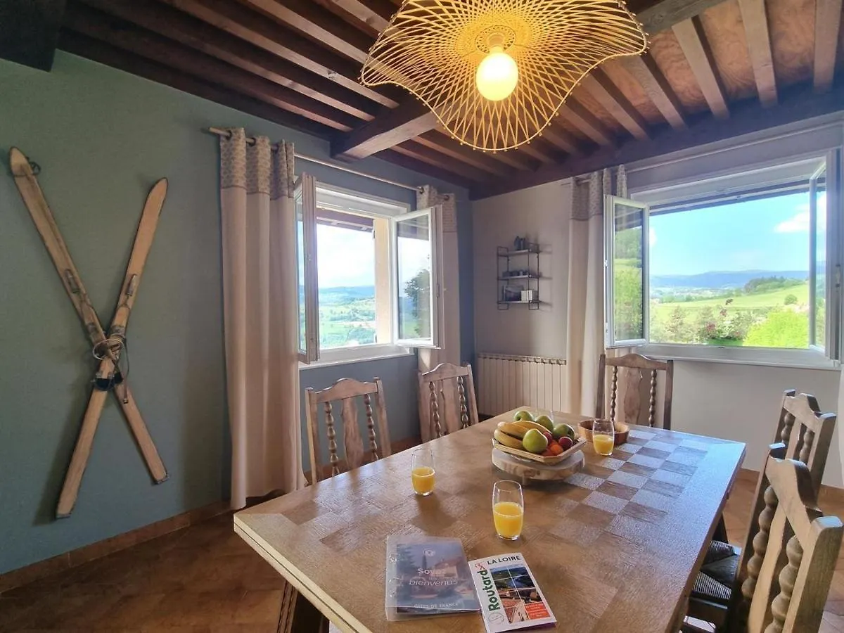 Maison Lumineuse Avec Jardin, Garage, Jeux Exterieurs, Animaux Acceptes - Fr-1-496-291 Saint-Georges-en-Couzan France